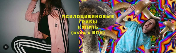 меф Туринск