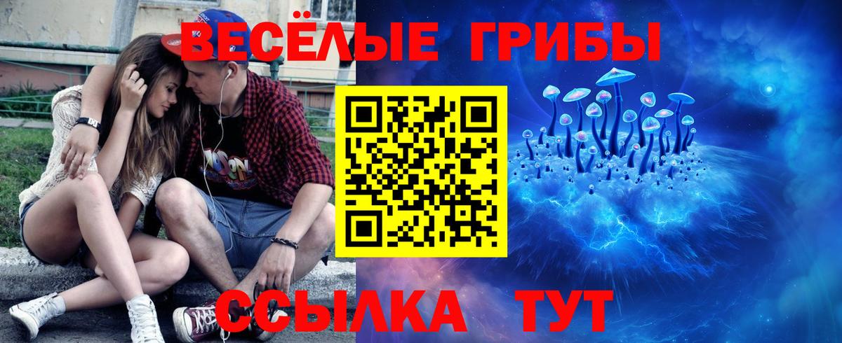 Галлюциногенные грибы MAGIC MUSHROOMS Брянск