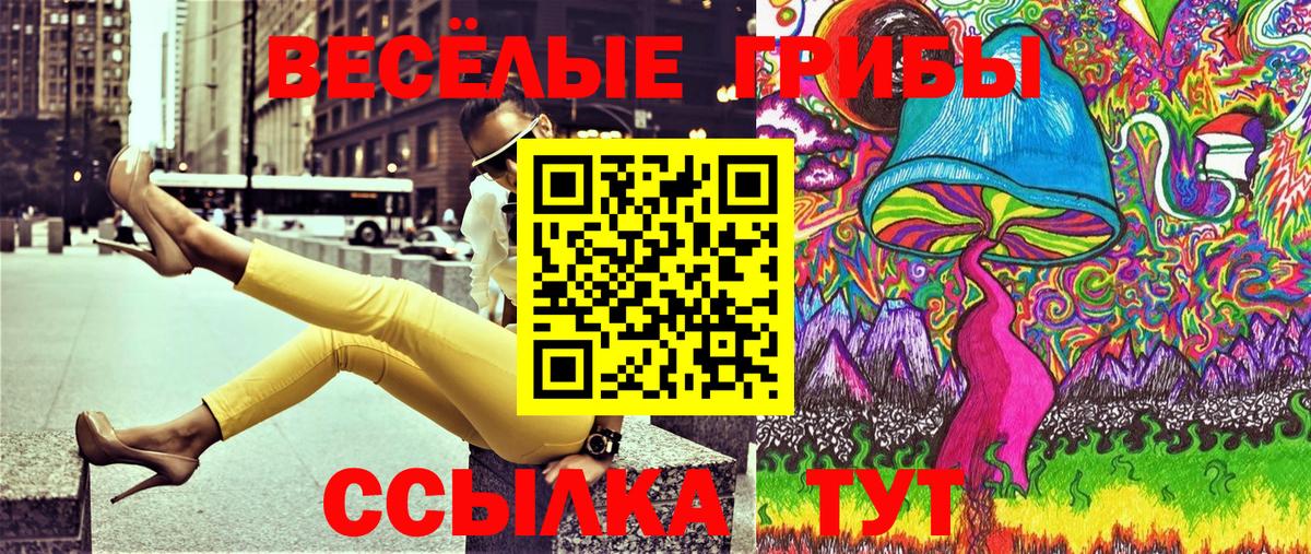 Галлюциногенные грибы GOLDEN TEACHER  Вход с VPN  Брянск 